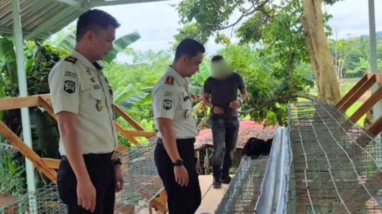 Lapas Tondano Kembangkan Peternakan Ayam Petelur untuk Bekal Warga Binaan