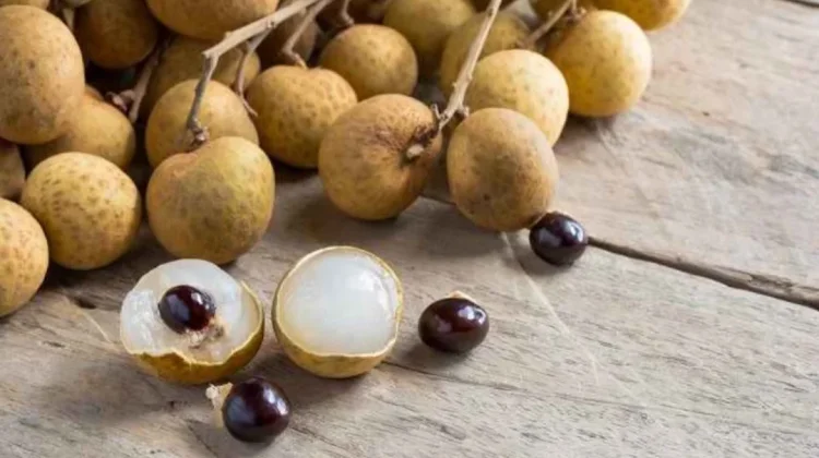 Manfaat Buah Kalengkeng Bagi Kesehatan Tubuh