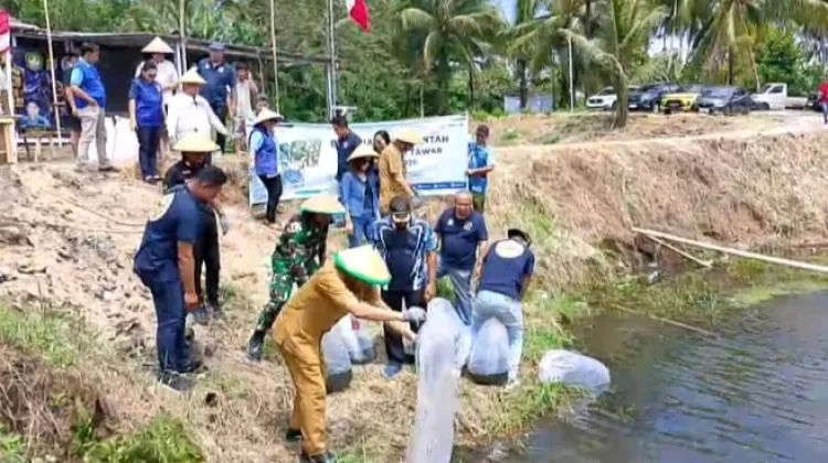 PWI Minut Kawal Ketahanan Pangan lewat Kolam Jurnalis Ikan Nila