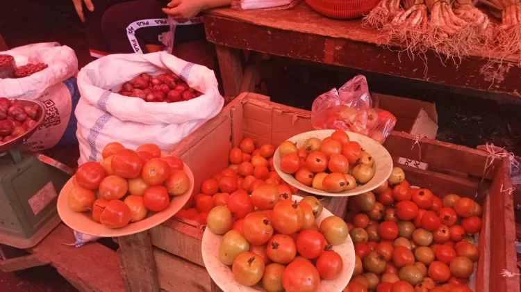 Harga Hortikultura Naik, Petani Tonsewer Selatan Nikmati Peningkatan Pendapatan