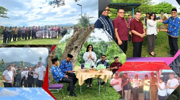 Pemkab Minahasa Belajar Budidaya Bawang Merah di Enrekang