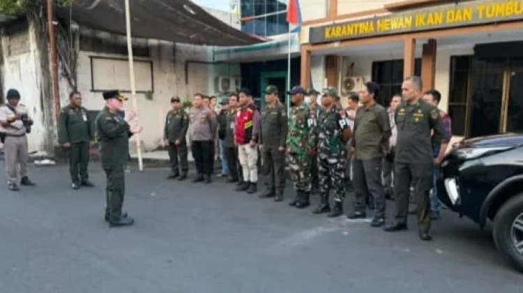 Operasi Gabungan di Pelabuhan Manado, Ayam tanpa Dokumen Diamankan