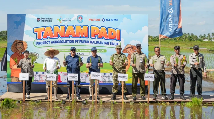 Pupuk Kaltim Gelar Tanam Padi Perdana Program Agrosolution di Kubu Raya