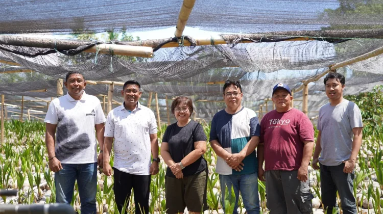 Danrem 131/Santiago Tinjau Lokasi Pembibitan Kelapa di Manado