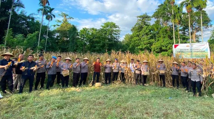 Polresta Manado Panen Jagung Dukung Ketahanan Pangan
