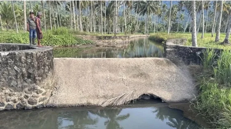 BRMP Sulut Kolaborasi dengan Dinas Pertanian Percepat Verval PITER Bolmong
