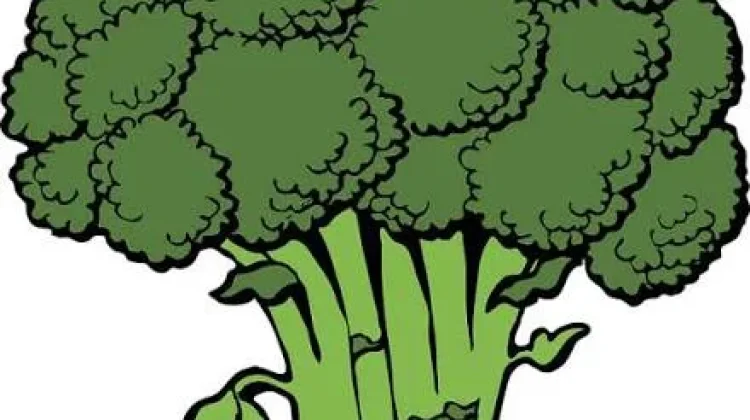 Sayuran Hijau, Sumber Nutrisi Alami untuk Kesehatan Tubuh