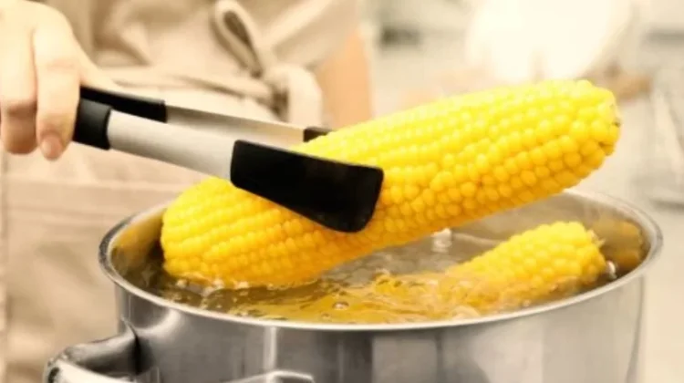 Manfaat Jagung Rebus Untuk Kesehatan Tubuh