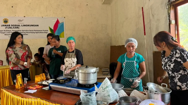PLN UID Suluttenggo Dorong Electrifying Agriculture, Budidaya Spirulina