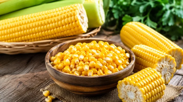 Mengenal Manfaat Jagung untuk Kesehatan dan Kebugaran