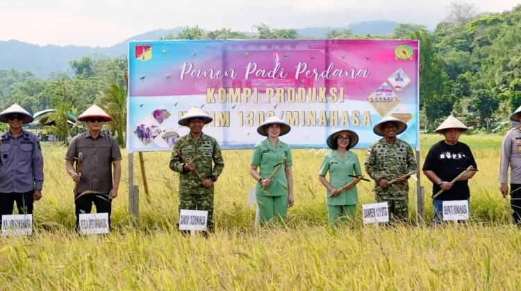 Pemkab Minahasa dan TNI Panen Perdana Perkuat Ketahanan Pangan Daerah