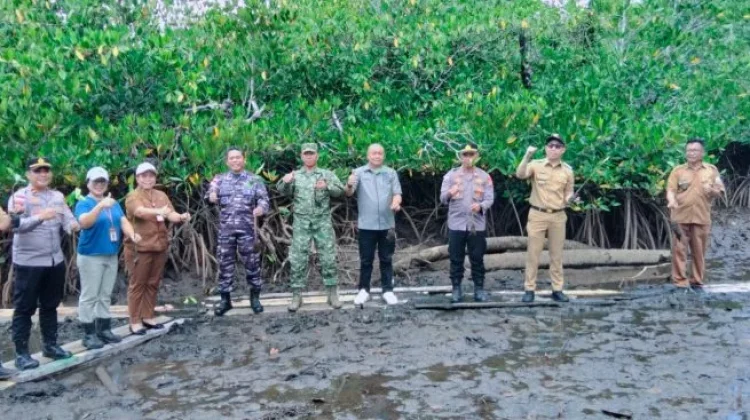 Bupati Sangihe Pimpin Penanaman Mangrove di Talengen