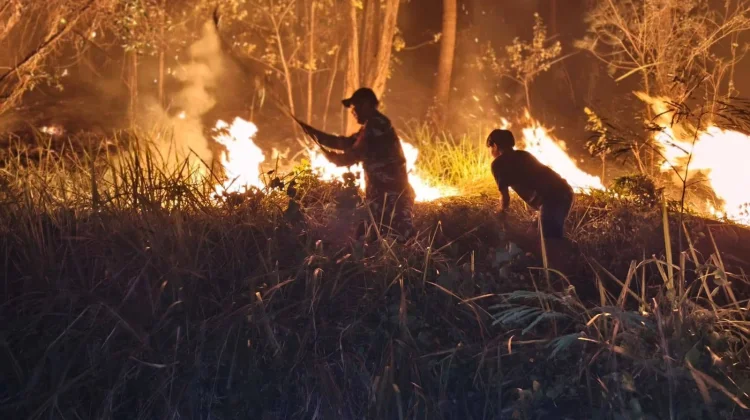 Babinsa Koramil Amurang Sigap Padamkan Kebakaran Lahan Lima Hektare