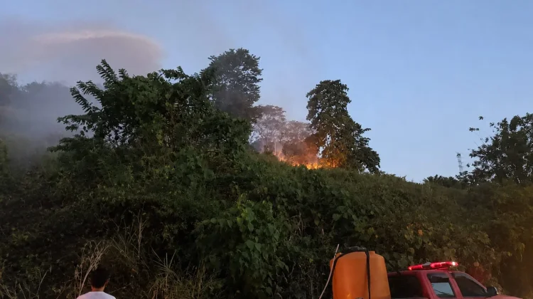 Karhutla di Desa Binuanga Kabupaten Boltara