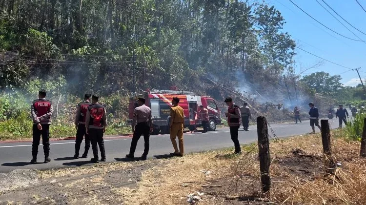 Kebakaran Lahan di Malalayang Dua Berhasil Dipadamkan