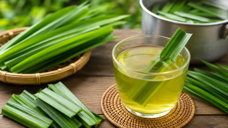 Manfaat Rebusan Daun Pandan untuk Kesehatan