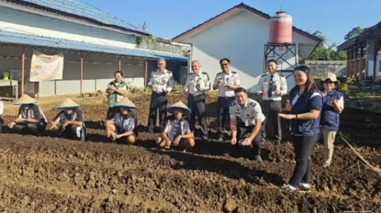 Dukung Ketahanan Pangan, LPKA Kelas II Tomohon Semai Bibit Sawi Putih