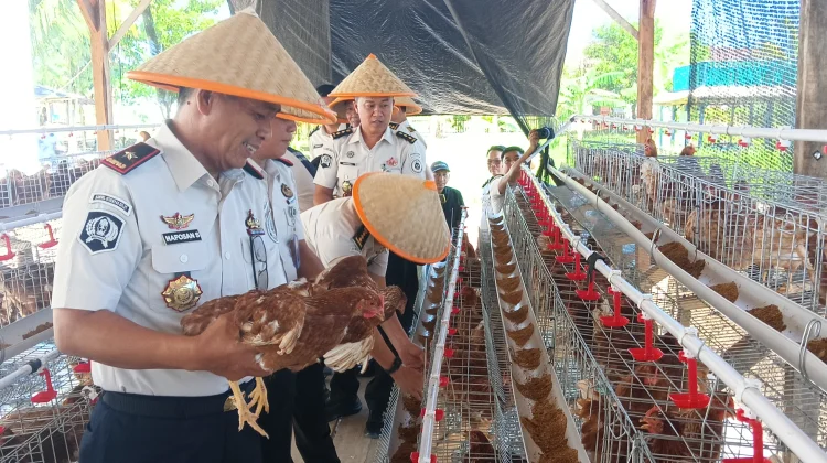 Dukung Ketahanan Pangan, Kakanwil Haposan Lepas Ayam Petelur di Lapas Amurang