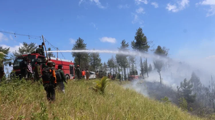 Pangdam Merdeka Kerahkan Prajurit Padamkan Api di Hutan Lindung Soputan
