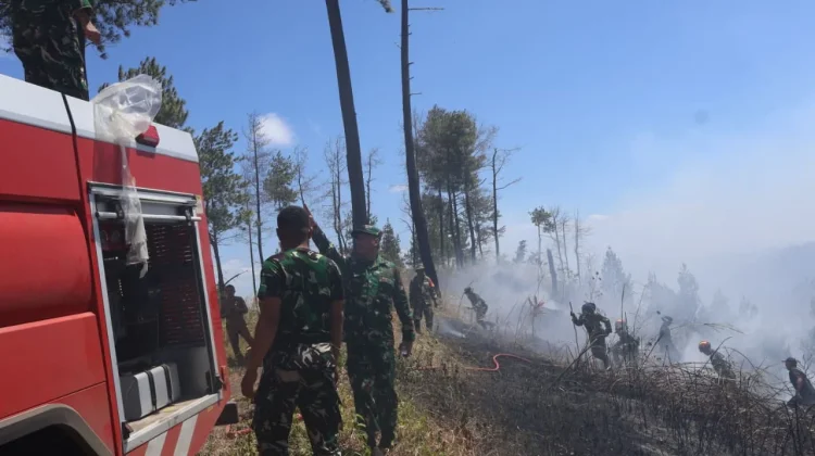Pangdam Merdeka Imbau Masyarakat Jangan Membakar Hutan