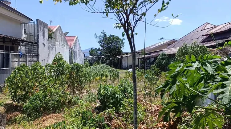 BMKG: Puncak Kemarau 2026 Capai Agustus-September, Sulut Diminta Waspada Karhutla