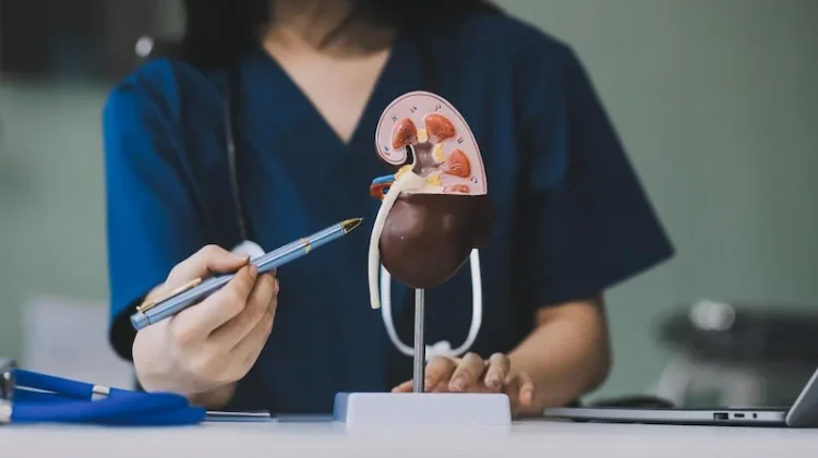 Pengobatan Kista Ginjal, Apakah Memerlukan Operasi?