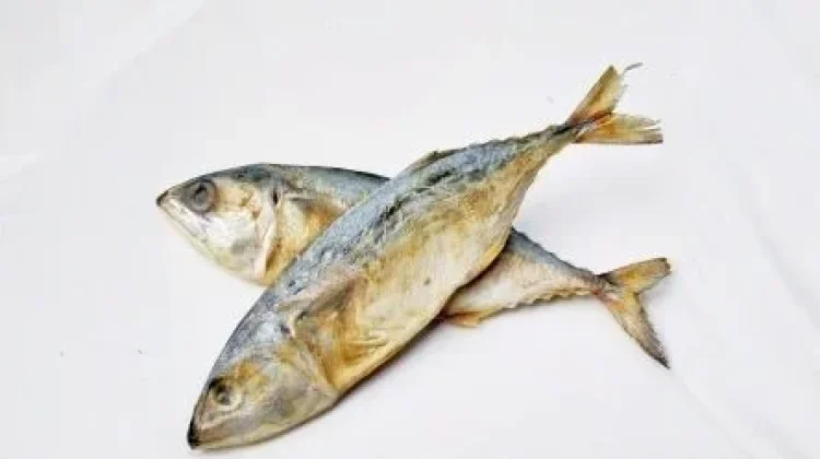 Amankah Mengonsumsi Ikan Asin?