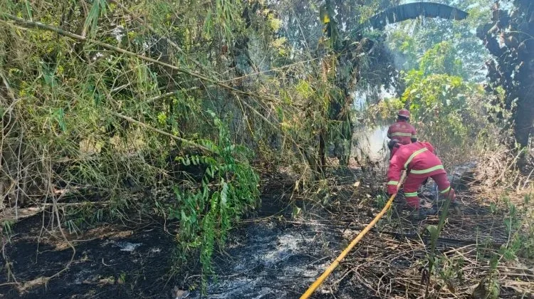 Gerak Cepat Polsek Mapanget Tangani Kebakaran Alang-alang di Kelurahan Buha