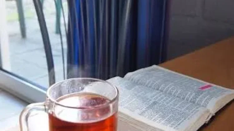 Teh Tawar Kaya Antioksidan, Baik untuk Jantung dan Fokus