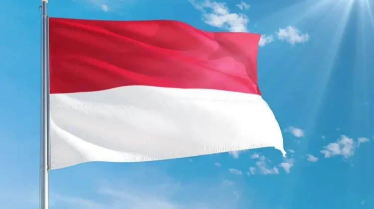 Sejarah di Balik Kemiripan Bendera Indonesia dan Monaco