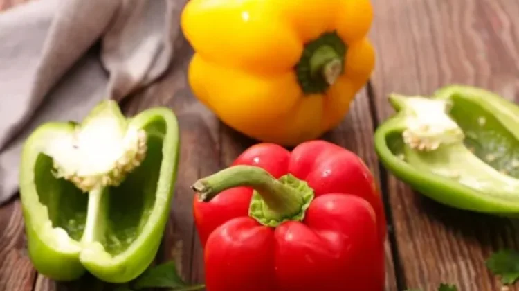 Paprika, Sayuran Cantik yang Menyehatkan