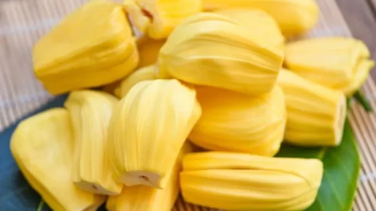 Waspada Konsumsi Nangka Berlebihan Picu Gangguan Kesehatan