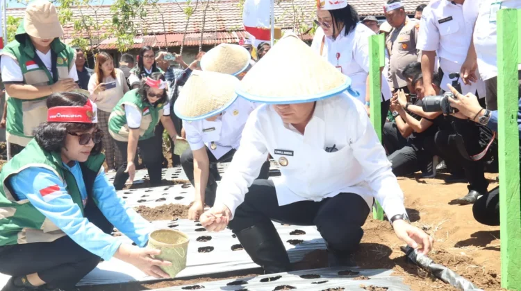 Senduk Ikut Penanaman Bawang Putih Serentak Nasional Bersama Polri