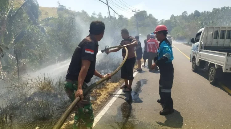 Babinsa Bantu Padamkan Kebakaran Lahan Perkebunan di Minahasa Selatan