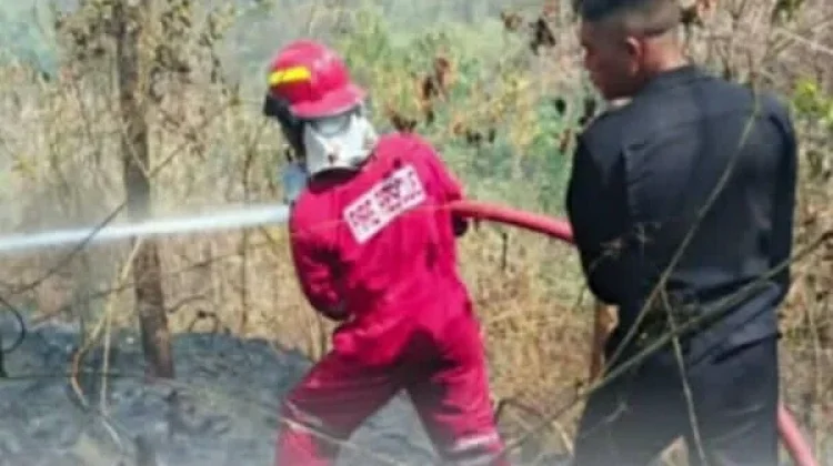 Brimob Polda Sulut Bantu Jinakkan Api di Kawasan Gunung Batu Desa Sea