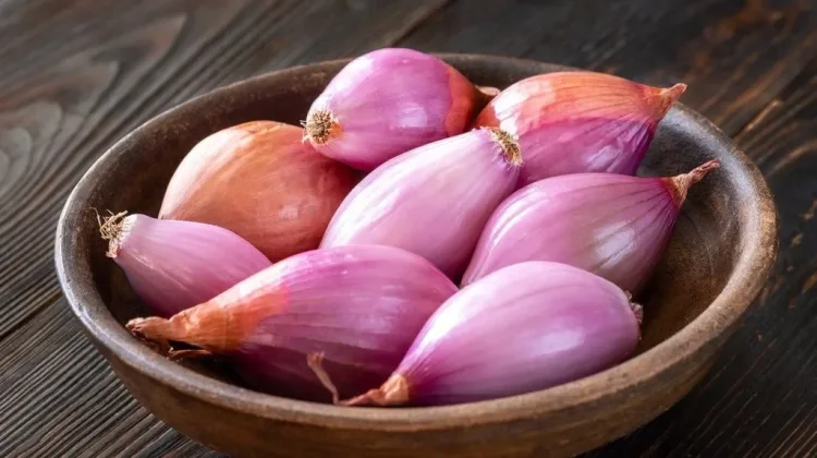 Benarkah Bawang Merah Bisa Redakan Flu? Ini Faktanya