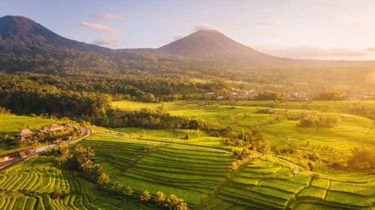 Desa Jatiluwih Bali, Lebih dari Sekadar Desa Wisata