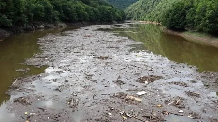 Pencemaran Sungai Picu Kerusakan Ekosistem