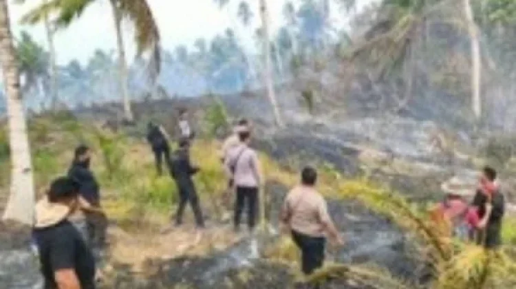 Karhutla di Damau Meluas ke Ighik, 100 Hektare Lahan Terbakar