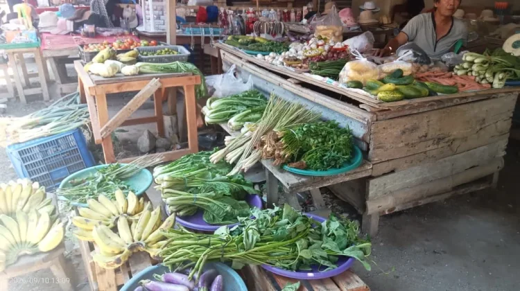 Kemarau Panjang Picu Kenaikan Harga Hortikultura di Pasar Kawangkoan