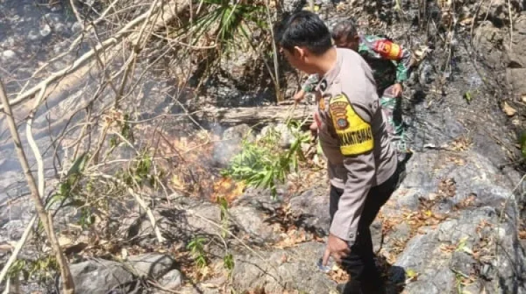 20 Hektare Lahan Perkebunan di Mome Bolmut Terbakar