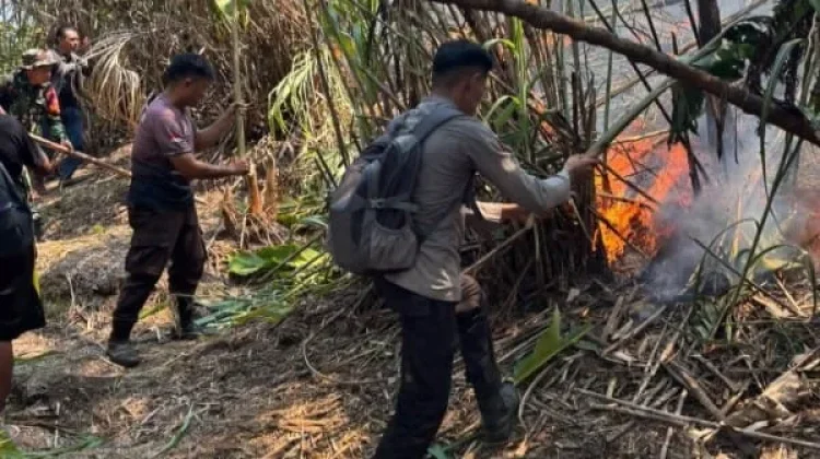 Karhutla Gunung Awu Mereda, Tersisa Dua Titik Api