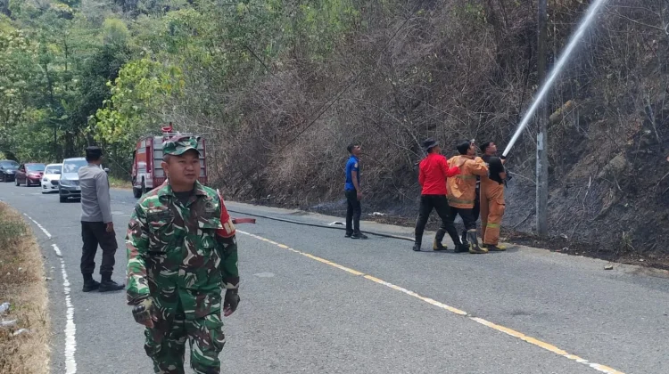 Polsek Lolayan, TNI, Damkar Tanggulangi Kebakaran Lahan di Perkebunan Tumuyu