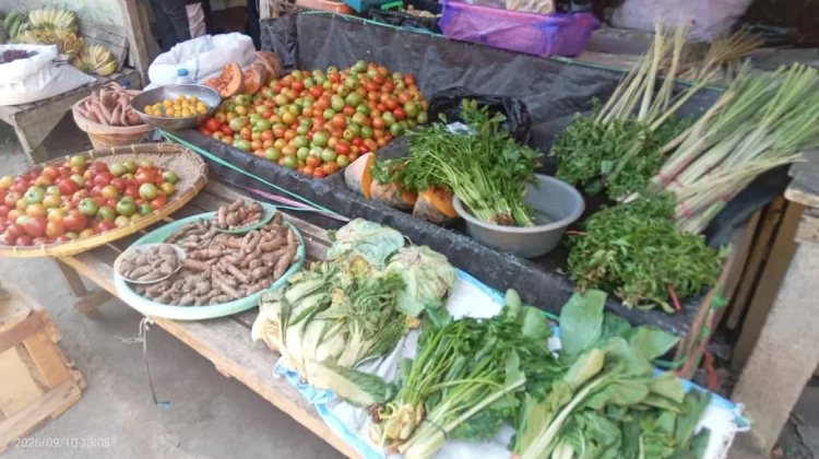 Kemarau, Harga Pangan di Langowan Naik