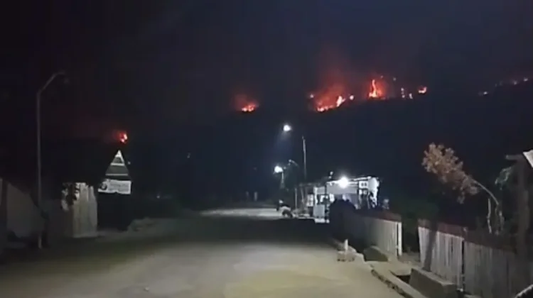 Waspada, 274 Hotspot Karhutla di Sulawesi Utara