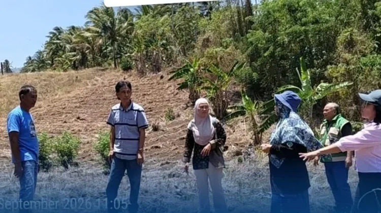 BRMP Sulut Verifikasi CPCL Perbenihan Kelapa di Bitung
