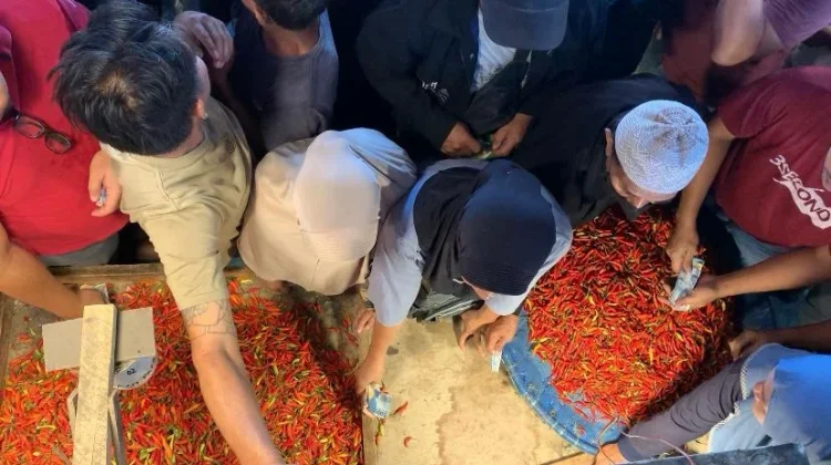 Sebanyak 2,5 Ton Cabai Probolinggo Kembali Didistribusikan di Sulut