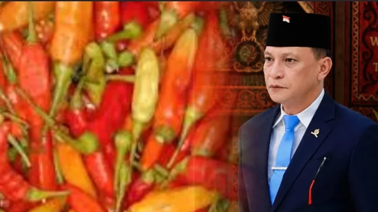 Pasokan Cabai Luar Daerah Tak Matikan Petani Lokal Sulawesi Utara