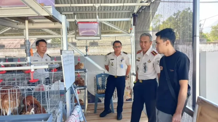 Jaga Kesehatan Ternak, LPKA Tomohon bersama Dokter Hewan Lakukan Vaksinasi Coryza