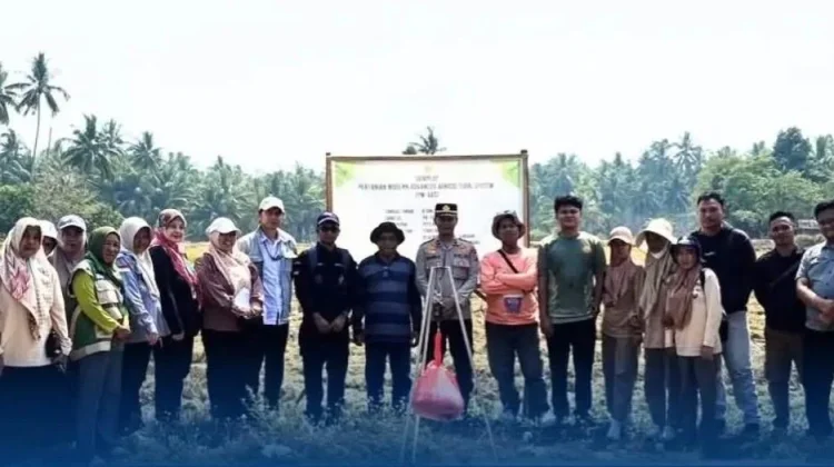 Panen Padi PM-AAS di Boltara Capai 10,73 Ton per Hektare